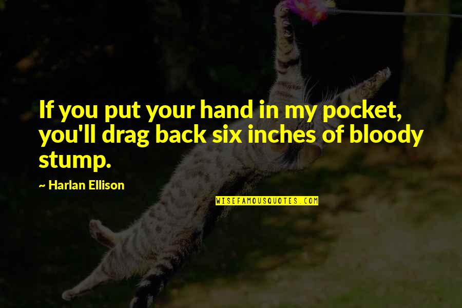 Wanting To Spend The Rest Of Your Life With Somebody Quotes By Harlan Ellison: If you put your hand in my pocket,