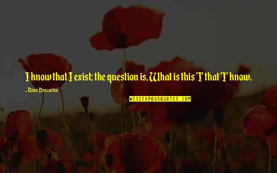 Wanting To Spend The Rest Of Your Life With Somebody Quotes By Rene Descartes: I know that I exist; the question is,