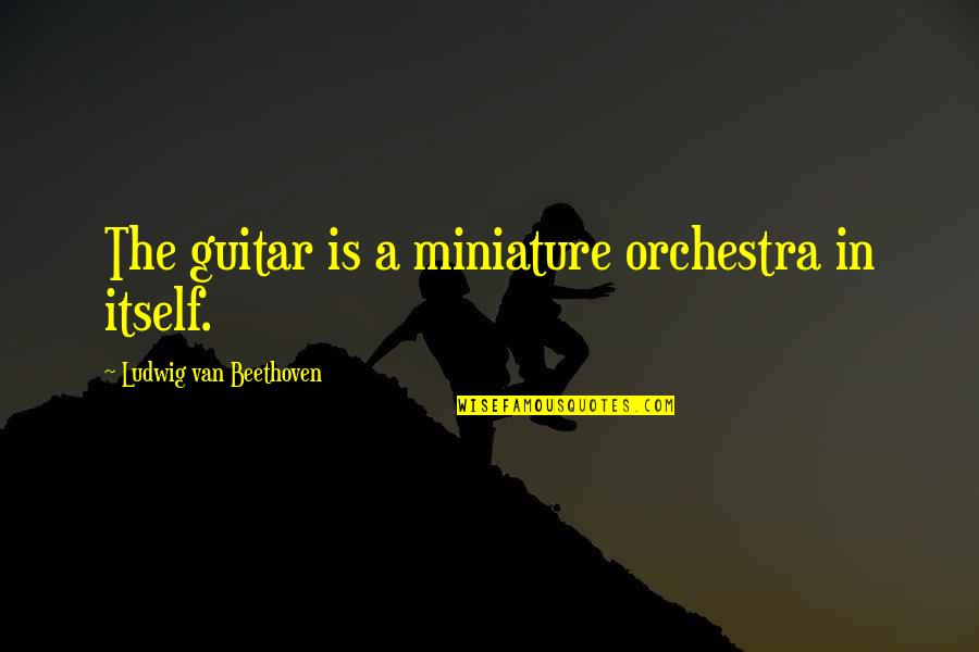 Wanting To Talk To Someone But Can't Quotes By Ludwig Van Beethoven: The guitar is a miniature orchestra in itself.