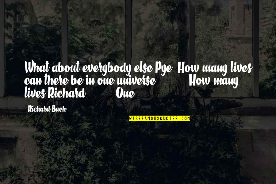 Wanting What's Best For Someone Quotes By Richard Bach: What about everybody else Pye? How many lives