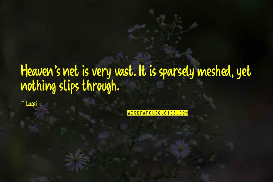 Wantonness Means Quotes By Laozi: Heaven's net is very vast. It is sparsely