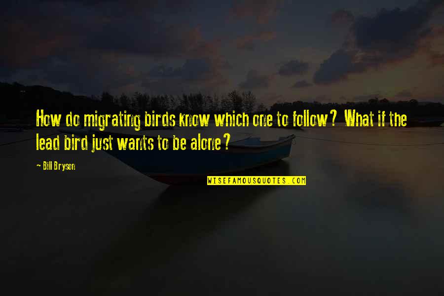 Wants To Be Alone Quotes By Bill Bryson: How do migrating birds know which one to