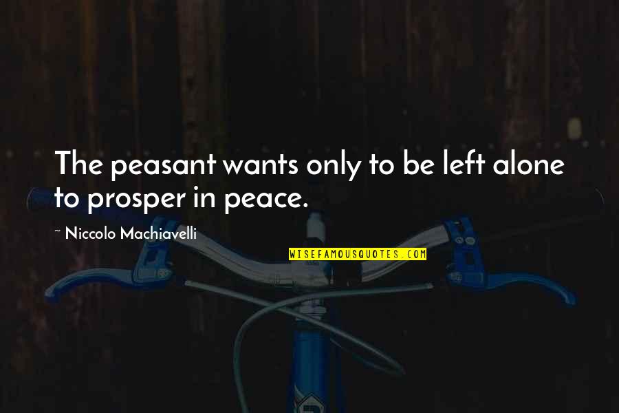 Wants To Be Alone Quotes By Niccolo Machiavelli: The peasant wants only to be left alone