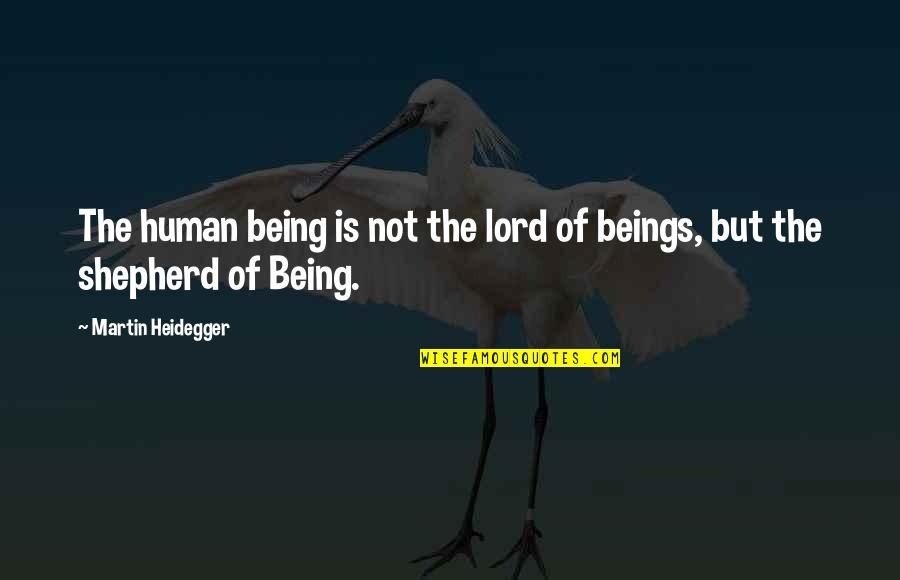 Wantwit Quotes By Martin Heidegger: The human being is not the lord of Wantwit Quotes By Martin Heidegger: The human being is not the lord of