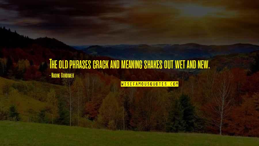 Wappelhorst Quotes By Nadine Gordimer: The old phrases crack and meaning shakes out