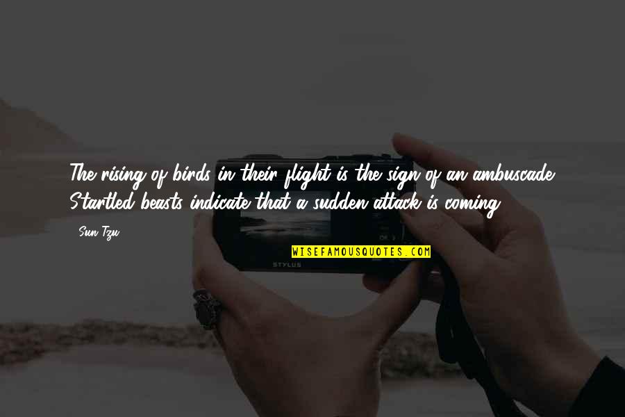 War And Strategy Quotes By Sun Tzu: The rising of birds in their flight is War And Strategy Quotes By Sun Tzu: The rising of birds in their flight is