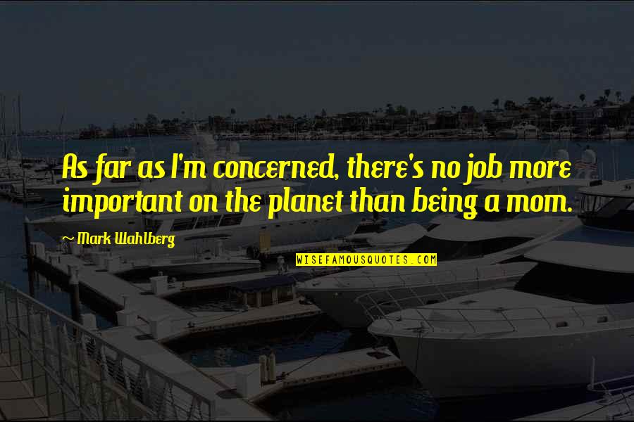 War In Gaza Quotes By Mark Wahlberg: As far as I'm concerned, there's no job