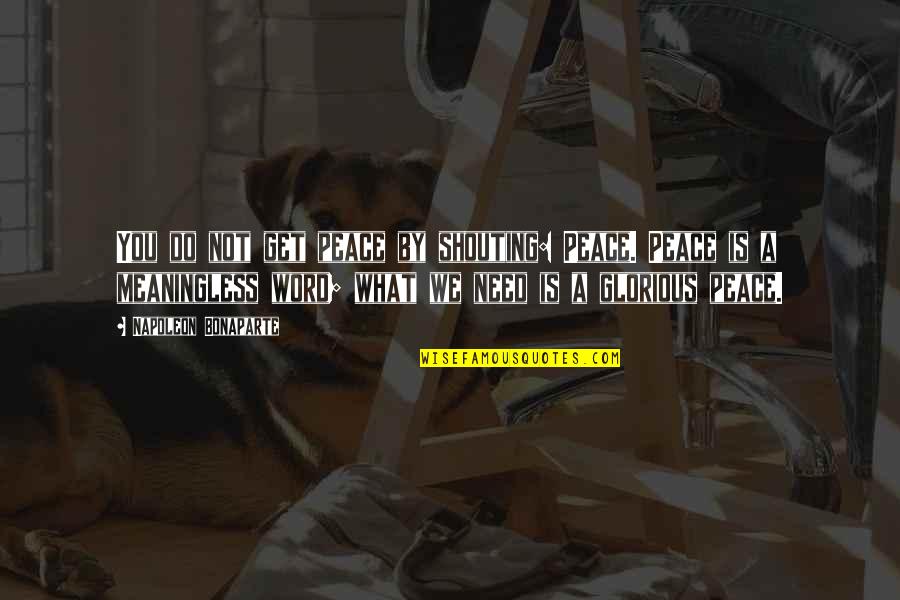 War Is Glorious Quotes By Napoleon Bonaparte: You do not get peace by shouting: Peace.