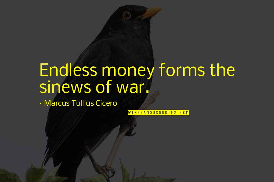 War Money Quotes By Marcus Tullius Cicero: Endless money forms the sinews of war.