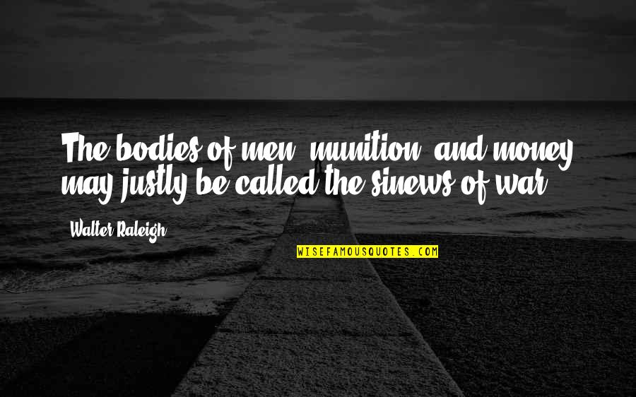 War Money Quotes By Walter Raleigh: The bodies of men, munition, and money may War Money Quotes By Walter Raleigh: The bodies of men, munition, and money may