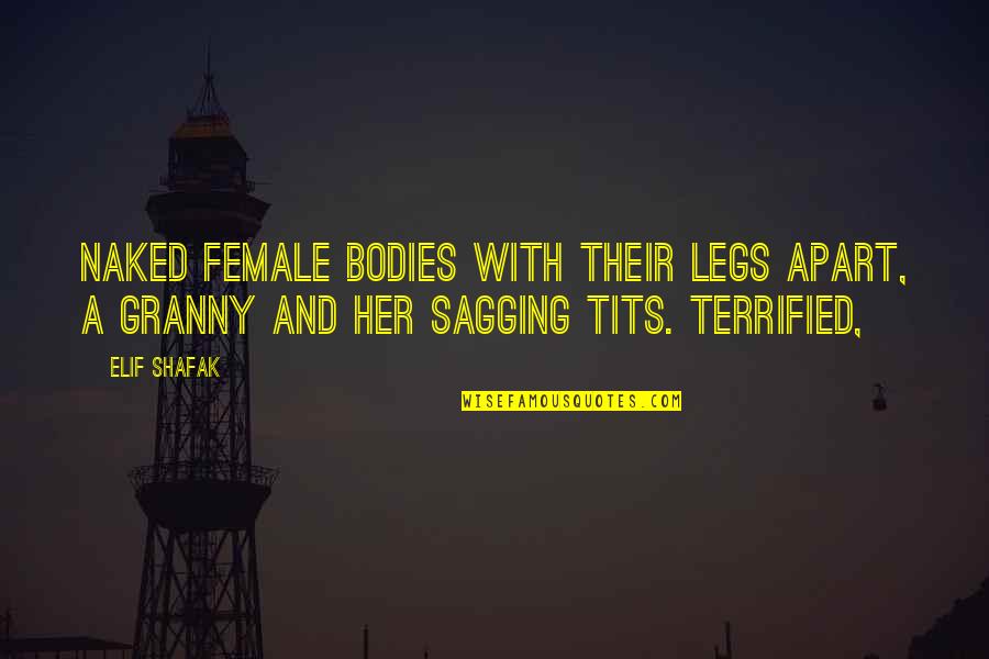 War Of The Worlds Ending Quotes By Elif Shafak: Naked female bodies with their legs apart, a