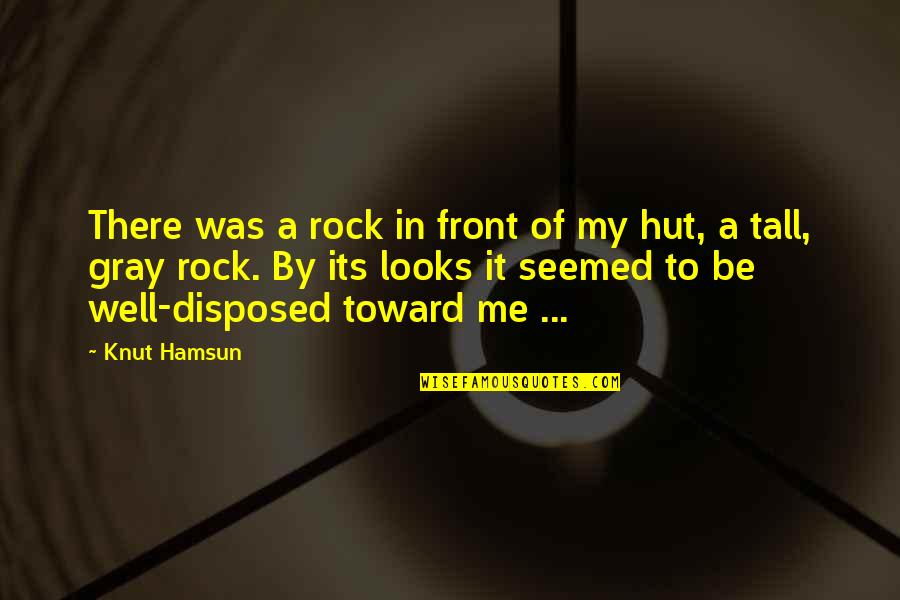 War Of The World's Famous Quotes By Knut Hamsun: There was a rock in front of my