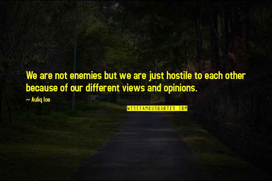 War Quotes And Quotes By Auliq Ice: We are not enemies but we are just