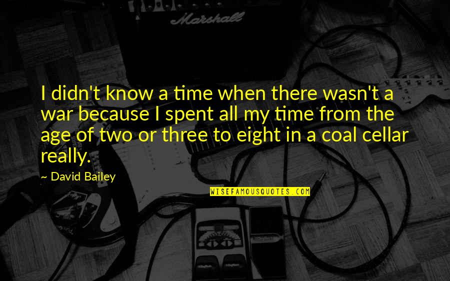War When Quotes By David Bailey: I didn't know a time when there wasn't