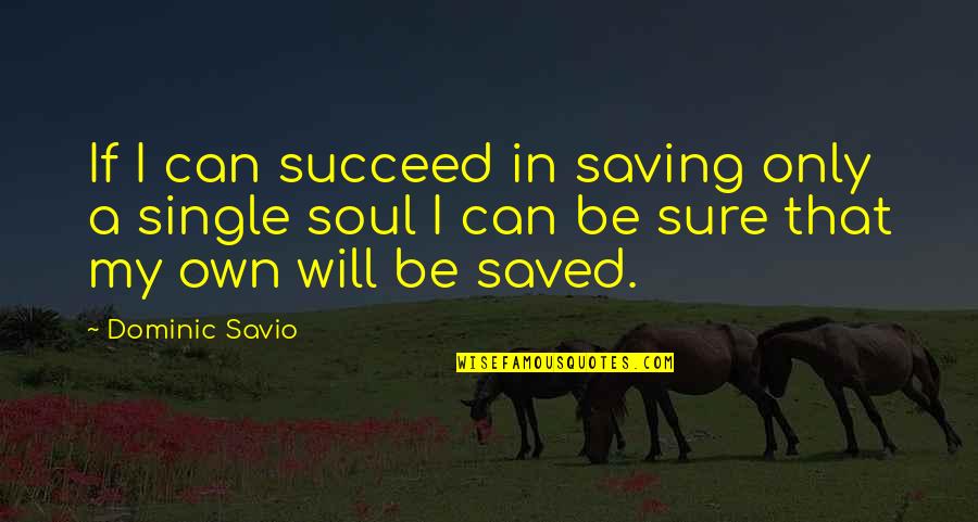 War Whoop Horse Quotes By Dominic Savio: If I can succeed in saving only a