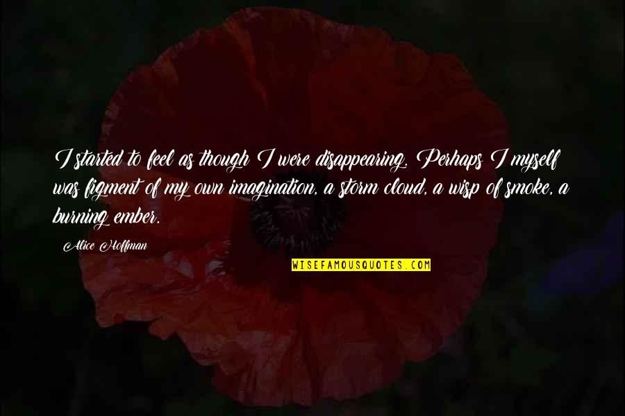 Waraire Mcdonald Quotes By Alice Hoffman: I started to feel as though I were Waraire Mcdonald Quotes By Alice Hoffman: I started to feel as though I were