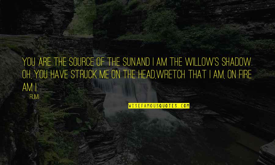 Warbucks Dont Starve Quotes By Rumi: You are the source of the sun.And I Warbucks Dont Starve Quotes By Rumi: You are the source of the sun.And I