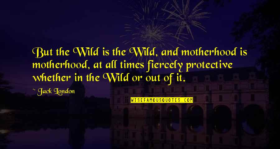Warded Quotes By Jack London: But the Wild is the Wild, and motherhood