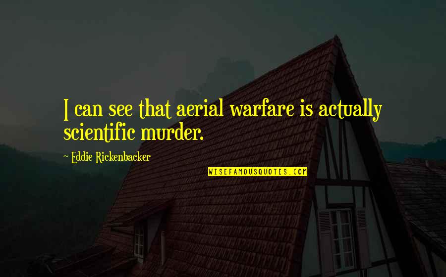 Warfare Quotes By Eddie Rickenbacker: I can see that aerial warfare is actually