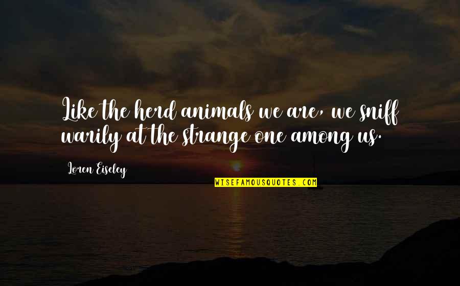 Warily Quotes By Loren Eiseley: Like the herd animals we are, we sniff