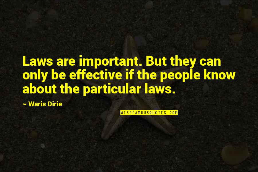 Waris Dirie Quotes By Waris Dirie: Laws are important. But they can only be