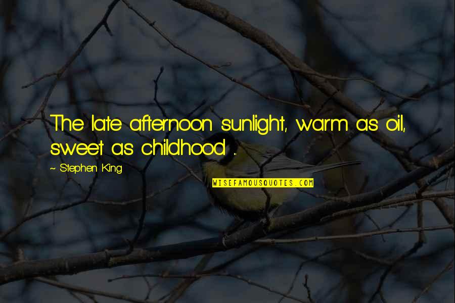 Warm Afternoon Quotes By Stephen King: The late afternoon sunlight, warm as oil, sweet
