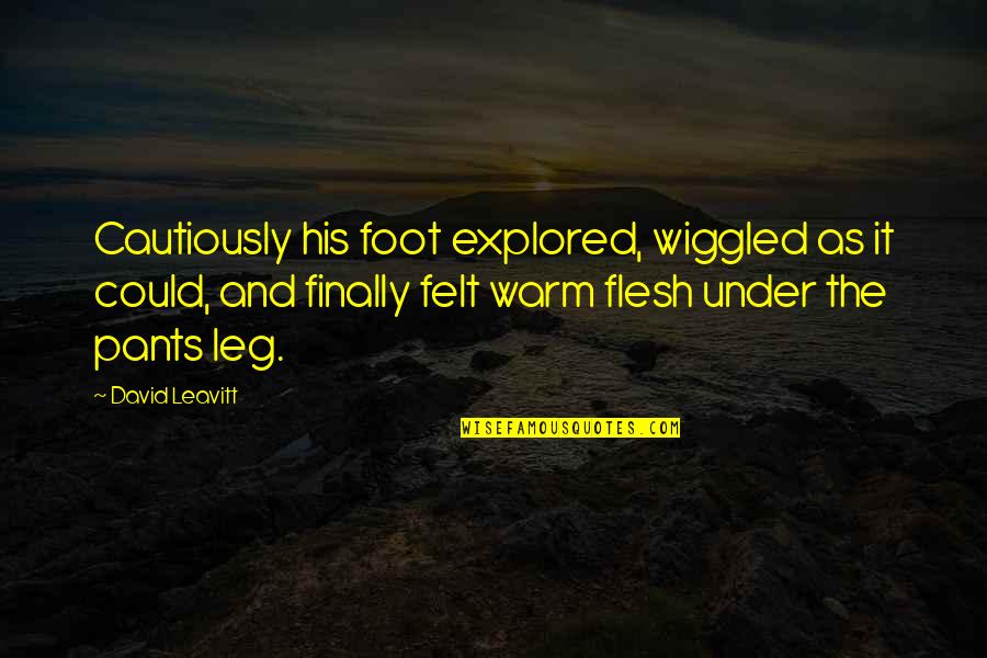 Warm Felt Quotes By David Leavitt: Cautiously his foot explored, wiggled as it could,