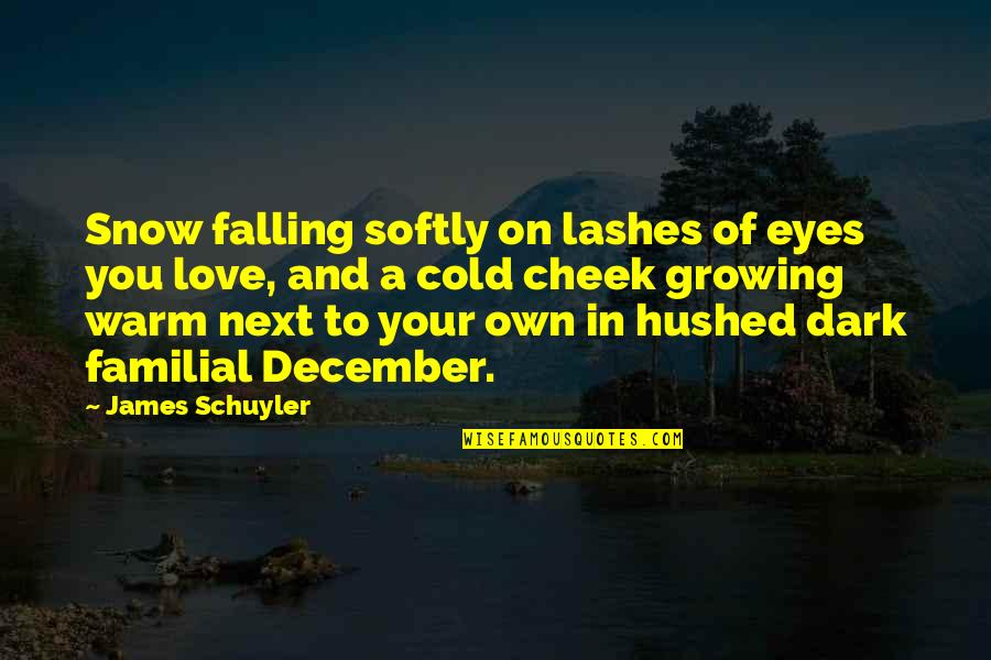 Warm Love Quotes By James Schuyler: Snow falling softly on lashes of eyes you