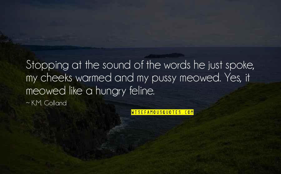 Warmed Quotes By K.M. Golland: Stopping at the sound of the words he