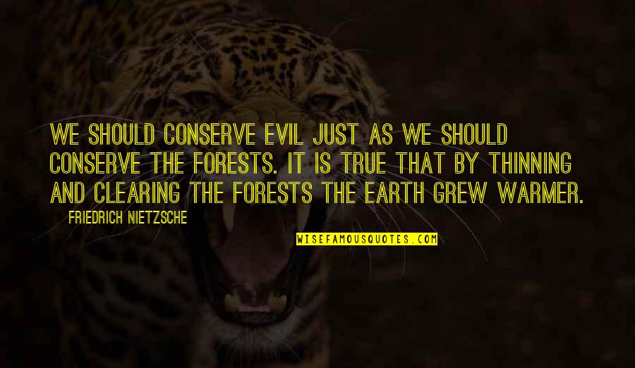 Warmer Than Quotes By Friedrich Nietzsche: We should conserve evil just as we should