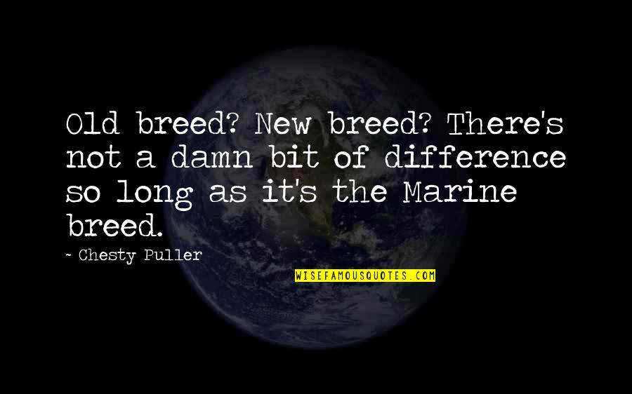 Warmness Quotes By Chesty Puller: Old breed? New breed? There's not a damn Warmness Quotes By Chesty Puller: Old breed? New breed? There's not a damn