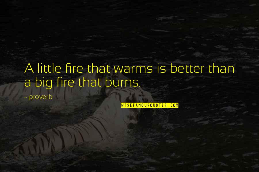 Warms Quotes By Proverb: A little fire that warms is better than
