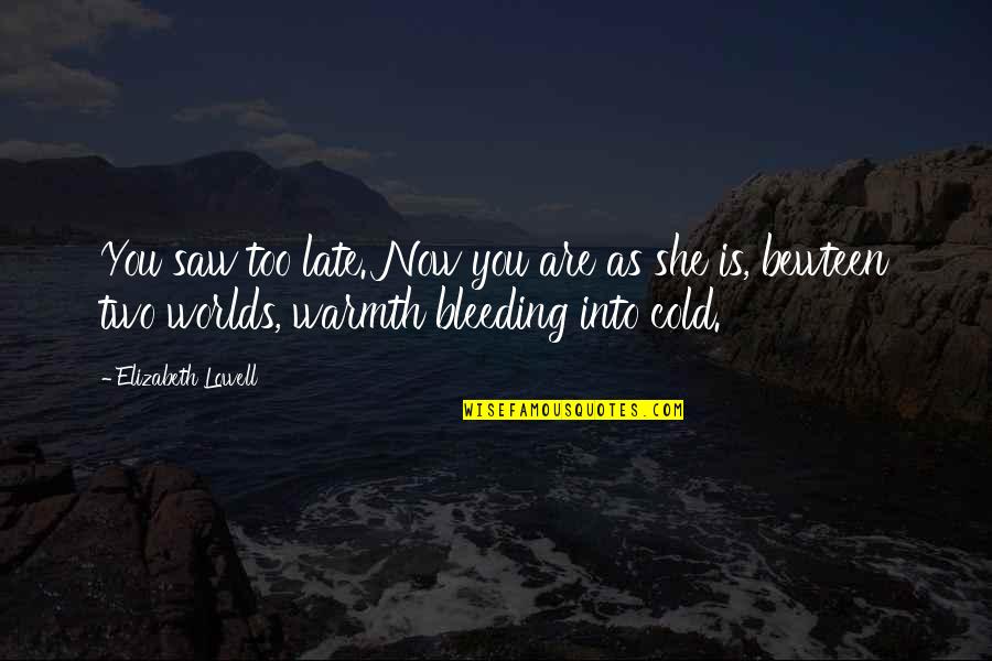Warmth And Cold Quotes By Elizabeth Lowell: You saw too late. Now you are as