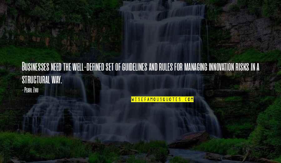 Warmth And Sunshine Quotes By Pearl Zhu: Businesses need the well-defined set of guidelines and