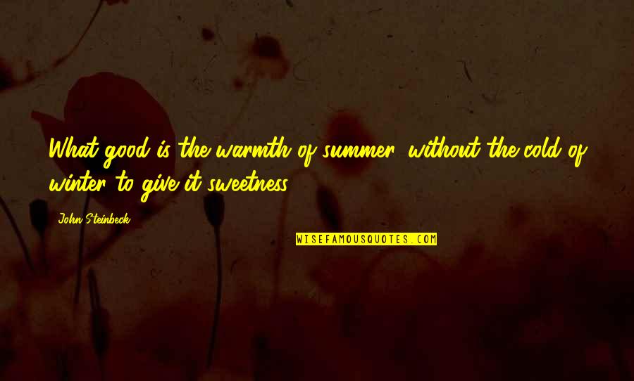 Warmth In Life Quotes By John Steinbeck: What good is the warmth of summer, without