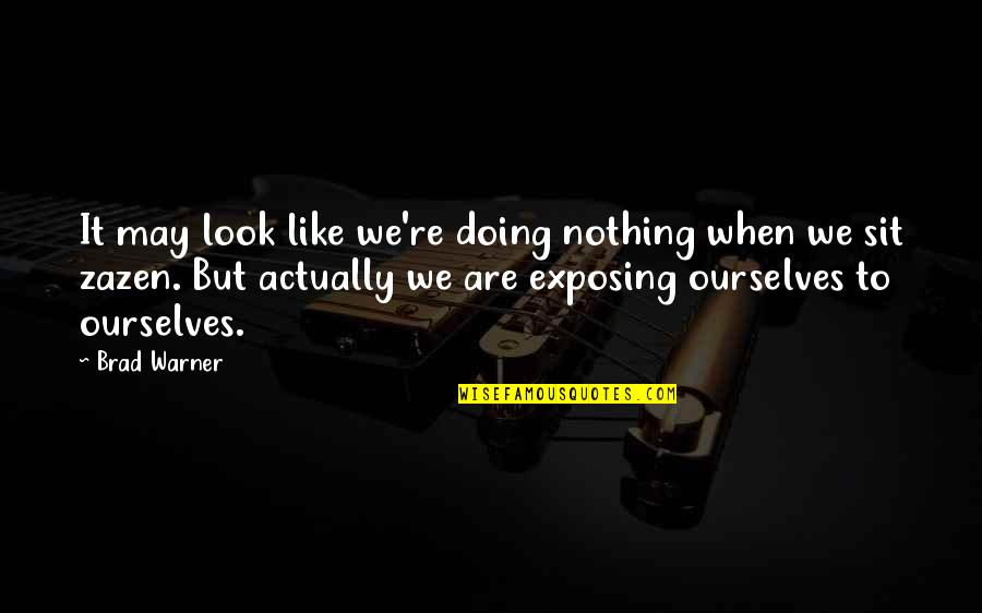 Warner Quotes By Brad Warner: It may look like we're doing nothing when Warner Quotes By Brad Warner: It may look like we're doing nothing when