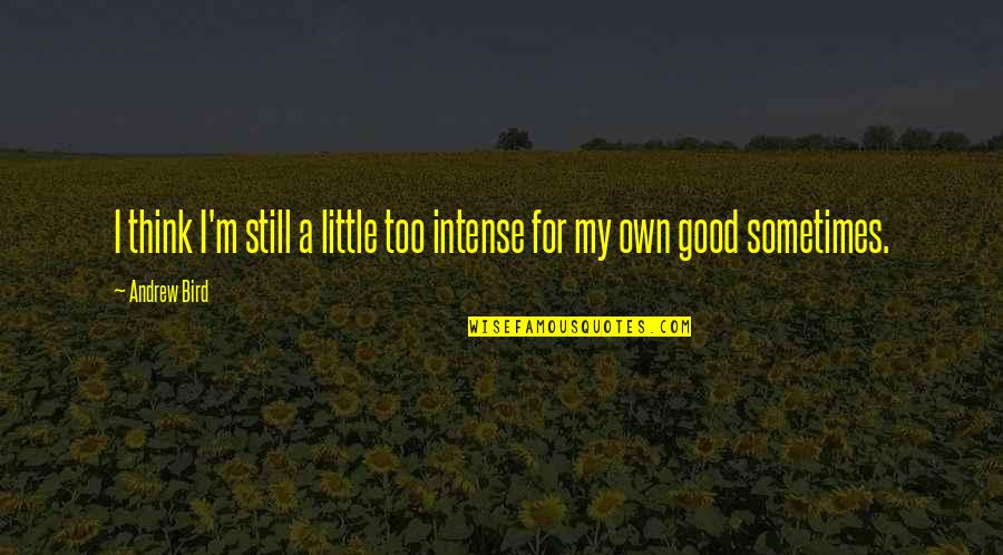 Warona Setshwaelo Quotes By Andrew Bird: I think I'm still a little too intense