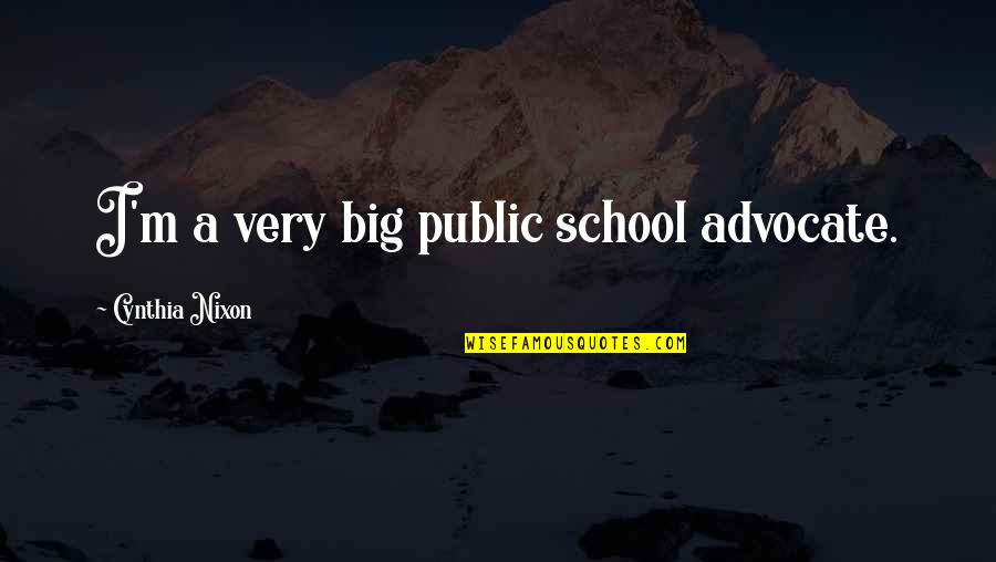 Warren Buffett Dale Carnegie Quotes By Cynthia Nixon: I'm a very big public school advocate.