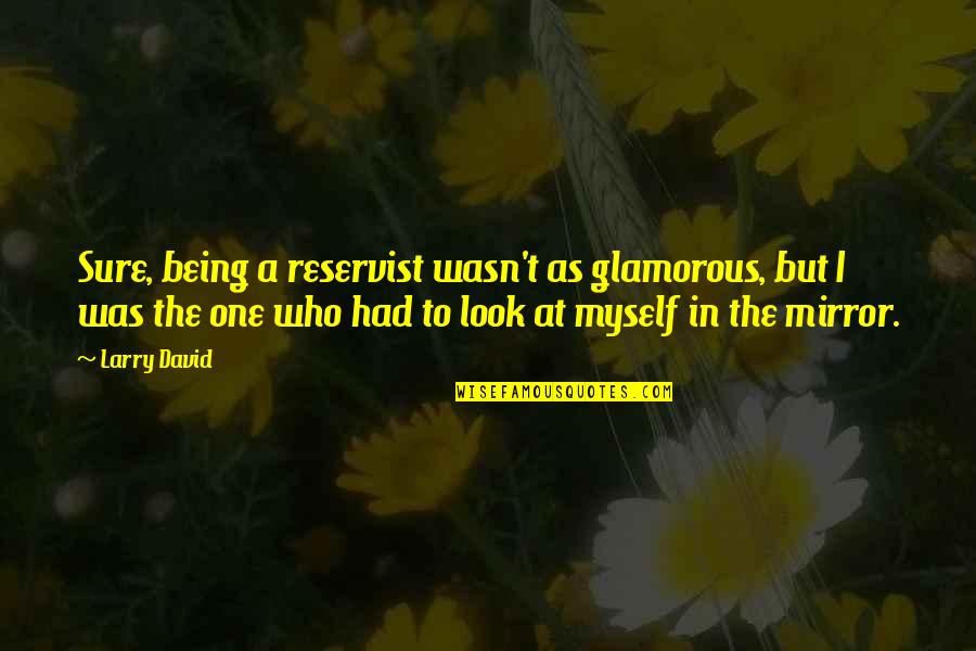 Warren Harding Climber Quotes By Larry David: Sure, being a reservist wasn't as glamorous, but Warren Harding Climber Quotes By Larry David: Sure, being a reservist wasn't as glamorous, but