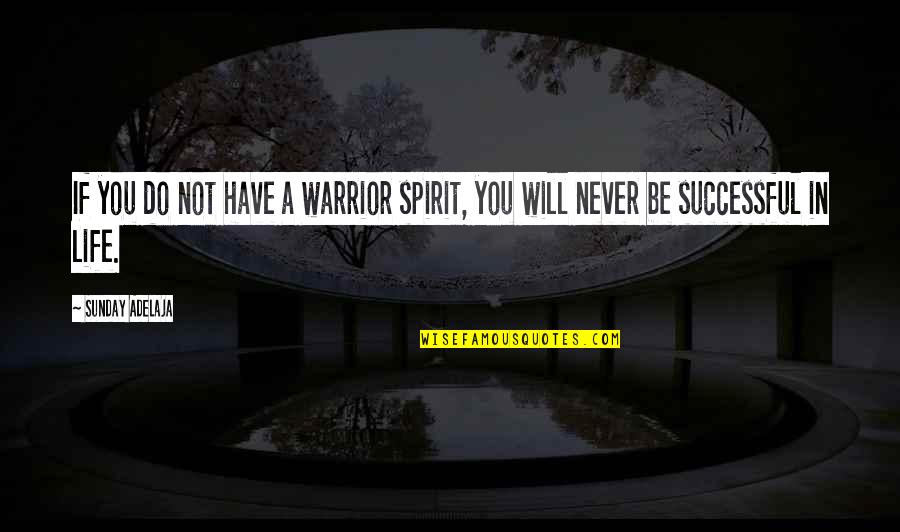 Warrior Spirit Quotes By Sunday Adelaja: If you do not have a warrior spirit,