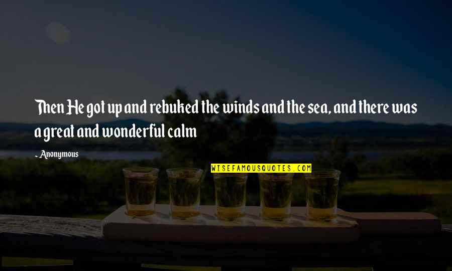 Warshauer Mellusi Quotes By Anonymous: Then He got up and rebuked the winds Warshauer Mellusi Quotes By Anonymous: Then He got up and rebuked the winds
