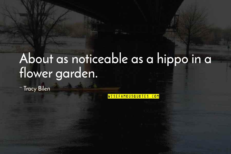 Warwick Todd Quotes By Tracy Bilen: About as noticeable as a hippo in a