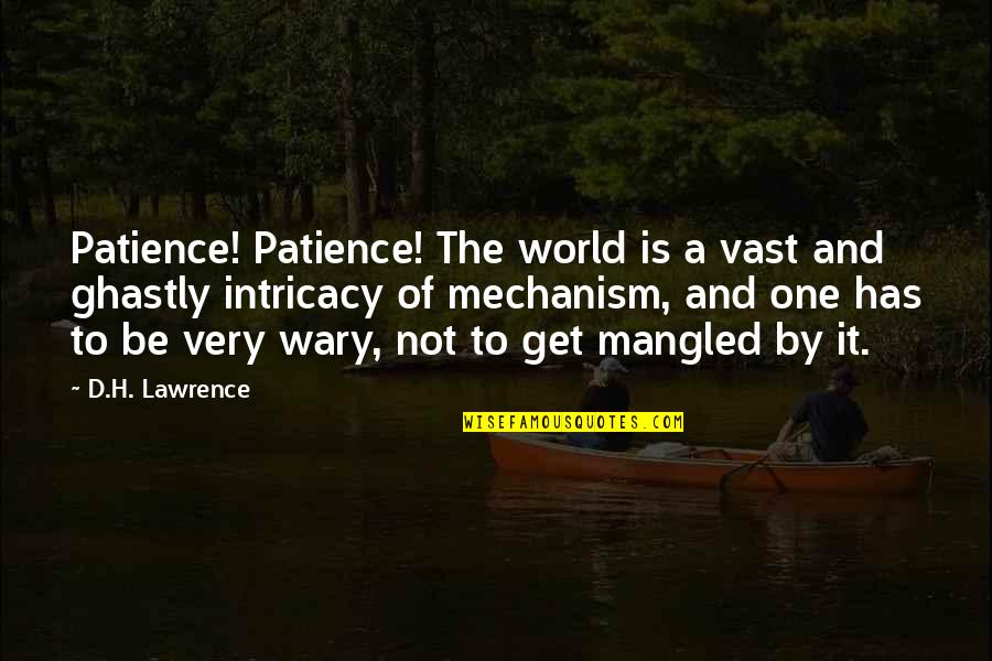 Wary Quotes By D.H. Lawrence: Patience! Patience! The world is a vast and