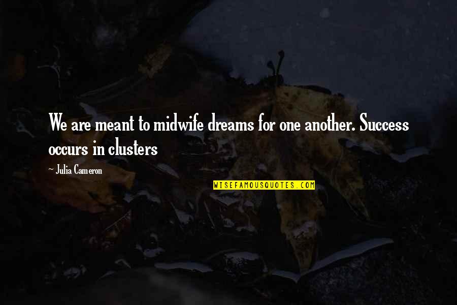 Warzones Quotes By Julia Cameron: We are meant to midwife dreams for one