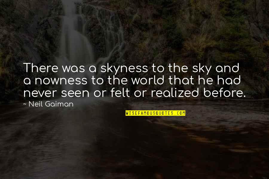 Was Realized Quotes By Neil Gaiman: There was a skyness to the sky and