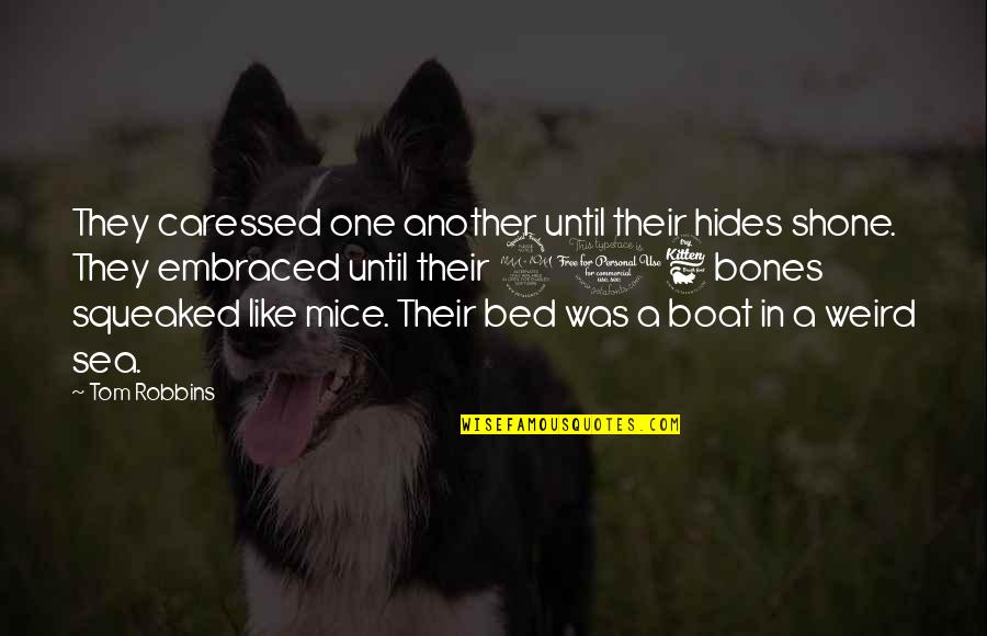 Was They Quotes By Tom Robbins: They caressed one another until their hides shone. Was They Quotes By Tom Robbins: They caressed one another until their hides shone.