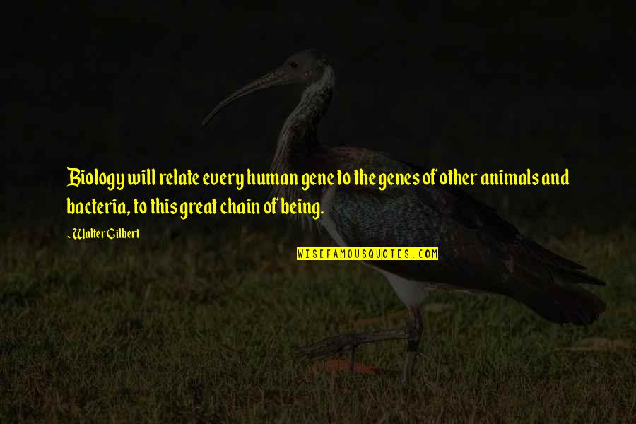 Wasanthi Quotes By Walter Gilbert: Biology will relate every human gene to the Wasanthi Quotes By Walter Gilbert: Biology will relate every human gene to the