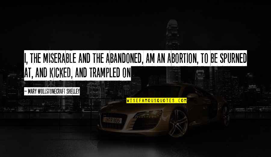 Wasbeer Als Quotes By Mary Wollstonecraft Shelley: I, the miserable and the abandoned, am an Wasbeer Als Quotes By Mary Wollstonecraft Shelley: I, the miserable and the abandoned, am an
