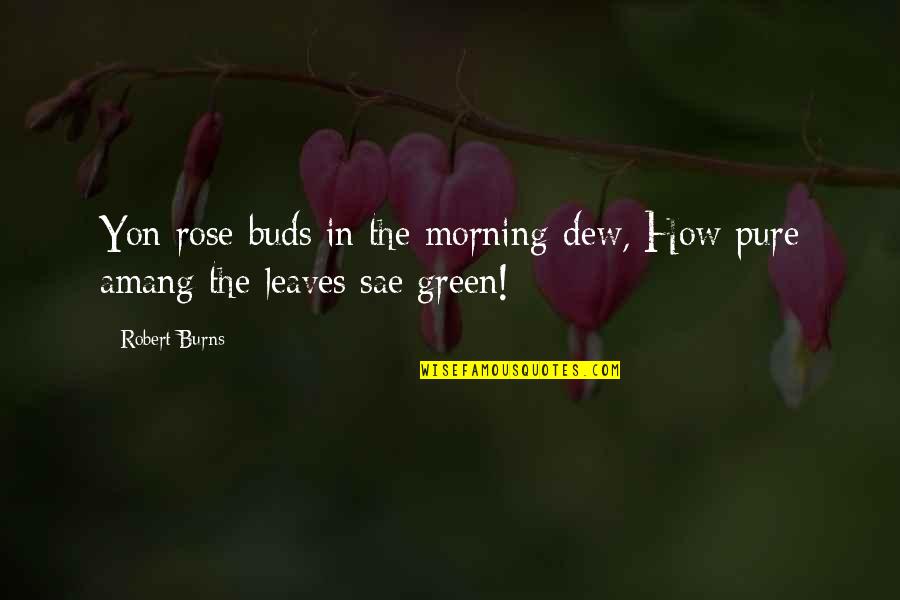 Washed And Waiting Quotes By Robert Burns: Yon rose-buds in the morning-dew, How pure amang