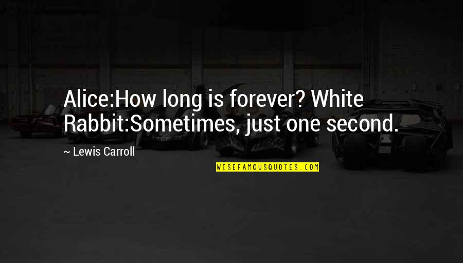 Washers For Sale Quotes By Lewis Carroll: Alice:How long is forever? White Rabbit:Sometimes, just one